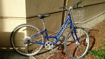 Trek Hybrid Bike 1