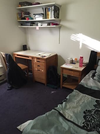 $1000 - Room in 4br/2ba Rains Graduate Housing (June 8 - Sept. 24) 1