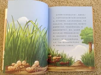 Fabre's Book of Insects series (set of 5 books) Chinese Ed 2