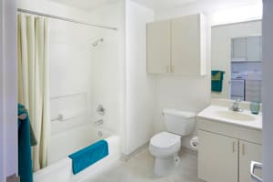 In-Campus Stanford Studio (Single) 350sq.feet for 1350$/month (summer) 1