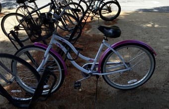 Nice 26-inch cruiser for sale ($50) 1