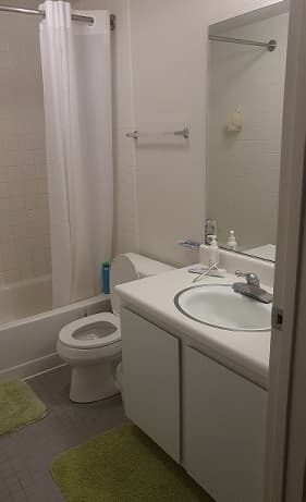 $1077/mo Summer Sublet June-Sept (Female) in Rains Graduate Housing 3