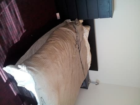 3-br- $80/night (whole apt.) -- on campus -- available 5/26 - 8/8 3