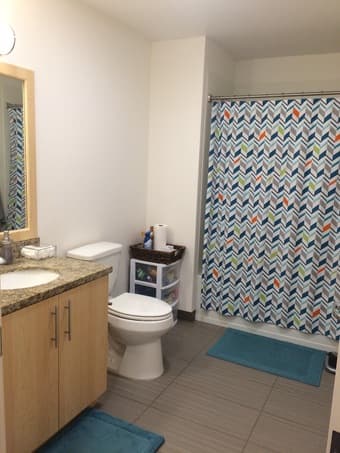 Summer Sublet: 1br in Kennedy 2br/2ba Apartment 6/16-8/6 3