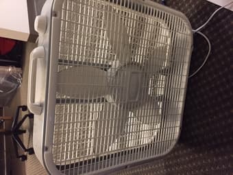 box fan 1
