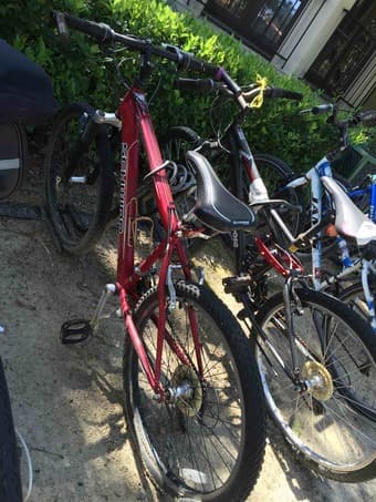 Schwinn Bicycle for sell 80$ 1
