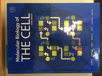Molecular Biology textbook for sale $80 1