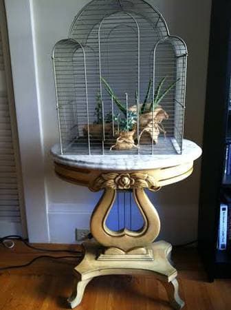 Vintage Birdcage, Marble top endtable - $15 , $80 1