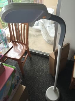 Litespan LED Floor Lamp 1