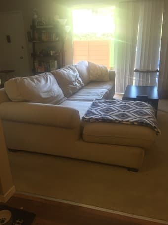 1b/1ba in San Mateo for June - November ($2095) 1