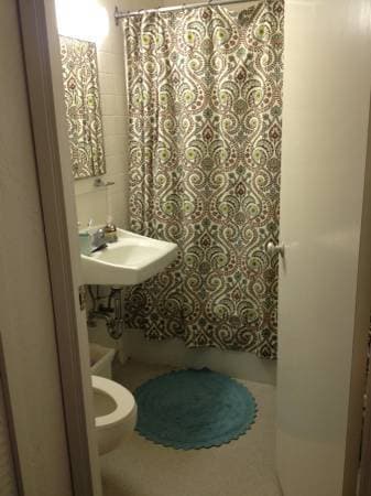 Room available for Summer term (Female), View & Balcony! 2