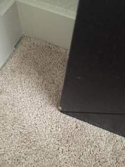 IKEA Mongstad mirror ($30) 1