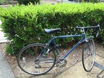 Vintage road bike for sale (Bianchi frame) [$250 OBO] 1