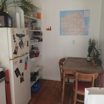 $2250 / 1br Mission district - for couples or single June till Sept 3