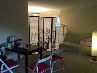 Nice living room is Just beside medical center, Palo Alto, female only 3