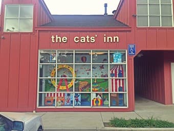 Part-Time Receptionist and Groomer Assistant Positions at The Cats Inn 2