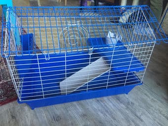 guinea pig cage $40 1