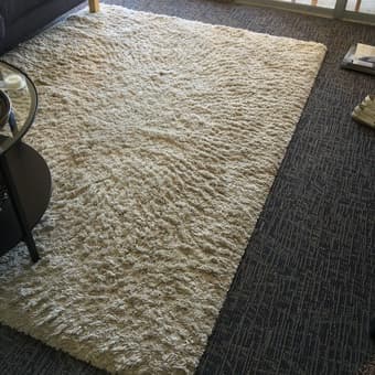 Nice living room rug 1