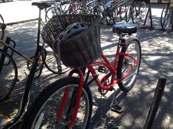 Women's cruiser bike: $150 OBO 1