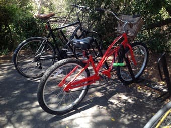 Women's cruiser bike: $150 OBO 2