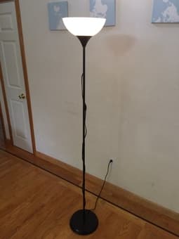 Floor lamp and desk lamp $15 1