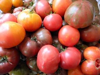 $3 / lb - Organic Heirloom Tomatoes - Pick Your Own 1