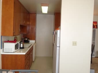 One furnished apartment (825 Sq Ft): 1bedroom/1living/1bath/1kitchen 1