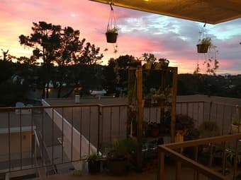 Two Rooms in 3BR in Belmont- Beautiful Area- Available 1st August- 2