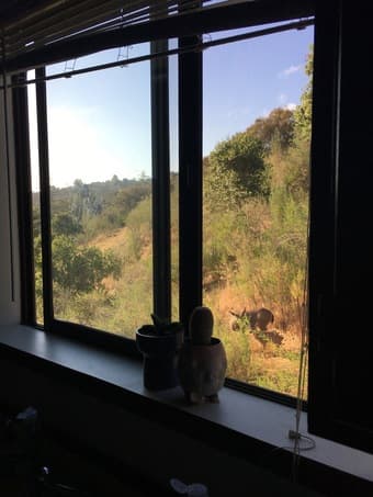 Two Rooms in 3BR in Belmont- Beautiful Area- Available 1st August- 3