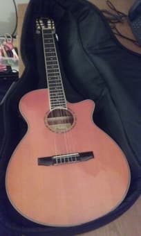 Electro Acoustic Guitar	Ibanez	Nylon Strings PERFET! -> $199 1