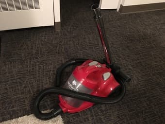 Need to vacuum?? 1