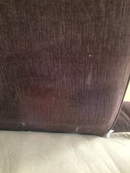 BAUHAUS USA SOFA $170 3