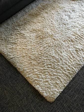 Ivory rug! 1