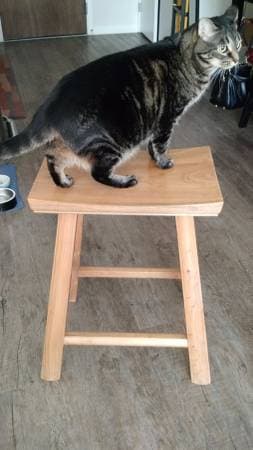 2 Hardwood stools! - $100 1