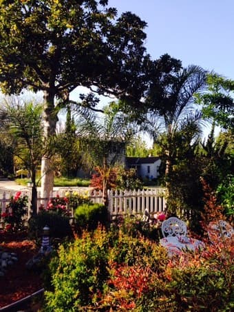 2bd/2b- furnished/unfurnished Palo Alto Midtown 2