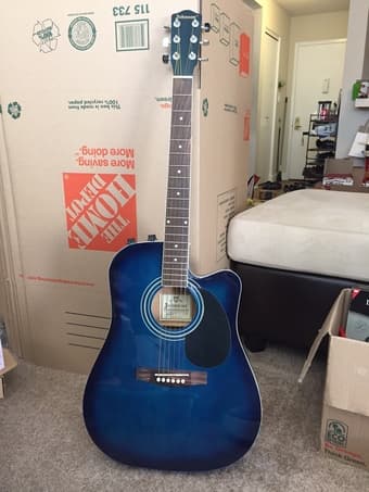 Blue Guitar - $100 1