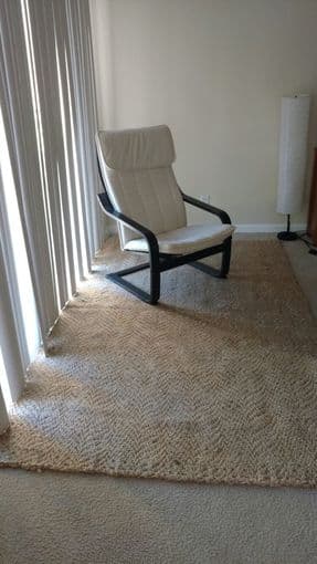 NATURAL FIBER RUG - Pottery Barn 2