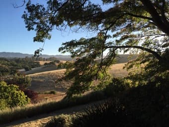 LOS ALTOS HUGE ROOM JULY 10 - July 22. 1.5 ACRE HOUSE WITH A VIEW 1