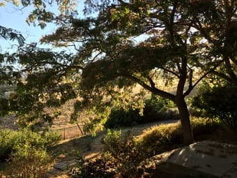 LOS ALTOS HUGE ROOM JULY 10 - July 22. 1.5 ACRE HOUSE WITH A VIEW 2