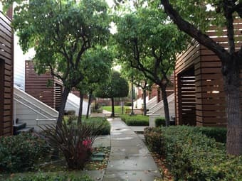Spacious 1 BR in Palo Alto ($2795/ mo) 3