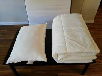 MOVING SALE!!! PILLOW+DUVET $15 1