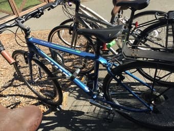 GIANT ESCAPE BIKE-$300 1