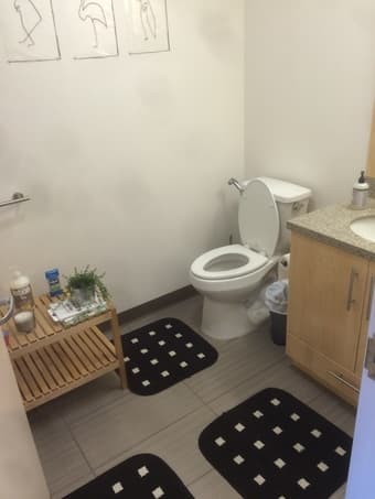 Junior Studio Sept 09 to Oct 10 inside of Campus for $1078 1