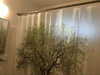 Beautiful Tree Print Shower Curtain - only $4! 1