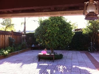 Studio/cottage for rent near Stanford available Sept 1st 1