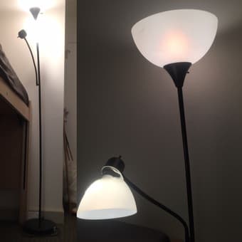 $5 moving sales: floor lamp, trash can, toaster, laptop backpack (BMW) 3