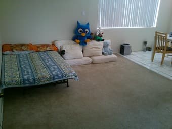 Palo Alto 2B1B 客厅出租 $850/月 1