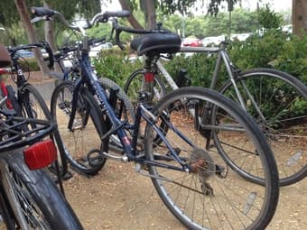 Schwinn women hybrid bike w. U-lock for sale 1