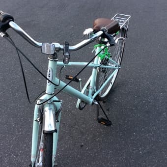 Bike $ 150 or OBO 1