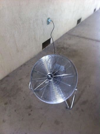 Big Fan 1